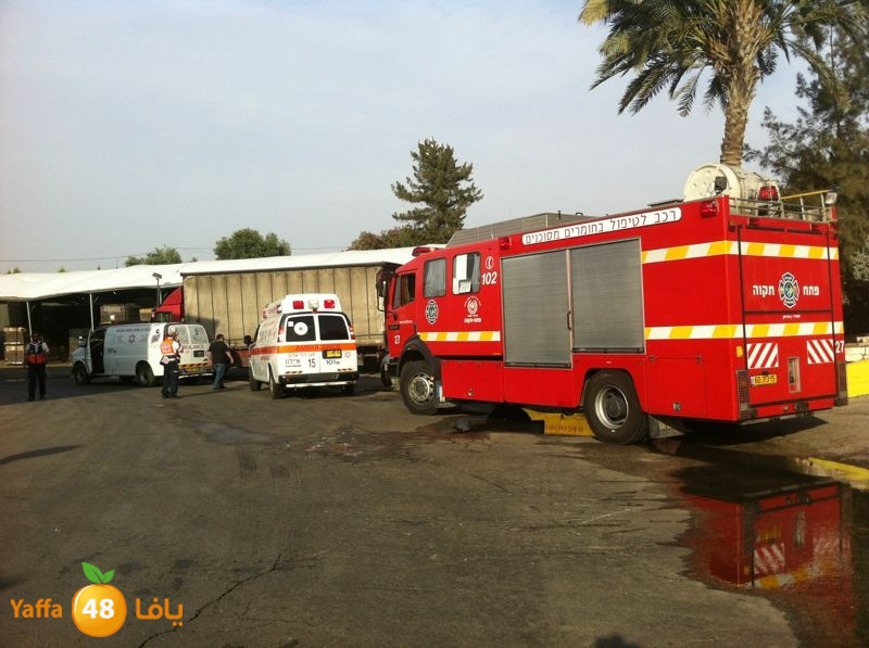 fireludkartoonmasna34 (61).JPG